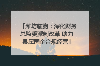潍坊临朐：深化财务总监委派制改革 助力县属国企合规经营
