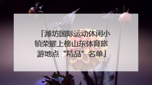 潍坊国际运动休闲小镇荣耀上榜山东体育旅游地点“精品”名单