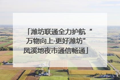 潍坊联通全力护航“万物向上·更好潍坊”凤溪地夜市通信畅通