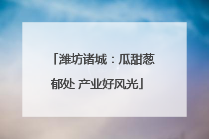 潍坊诸城：瓜甜葱郁处 产业好风光