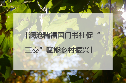 澜沧糯福国门书社促“三交”赋能乡村振兴