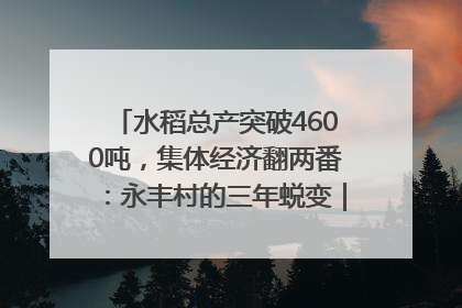 水稻总产突破4600吨，集体经济翻两番：永丰村的三年蜕变｜您牵挂的四川
