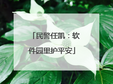 民警任凯：软件园里护平安