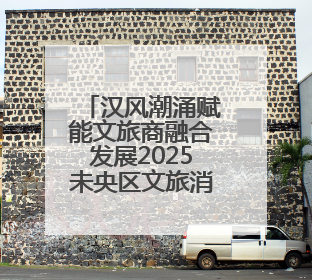 汉风潮涌赋能文旅商融合发展2025未央区文旅消费季启幕