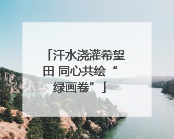 汗水浇灌希望田 同心共绘“绿画卷”