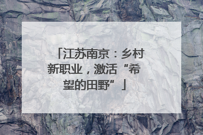 江苏南京：乡村新职业，激活“希望的田野”
