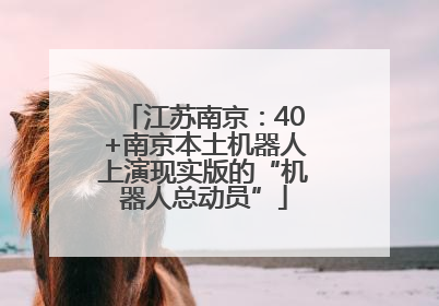 江苏南京：40+南京本土机器人上演现实版的“机器人总动员”