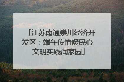 江苏南通崇川经济开发区：端午传情暖民心 文明实践润家园