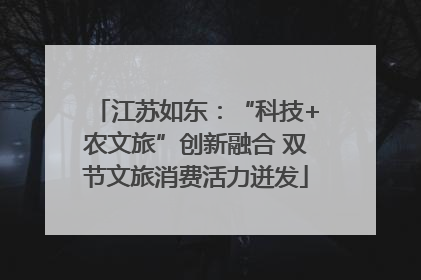 江苏如东：“科技+农文旅”创新融合 双节文旅消费活力迸发