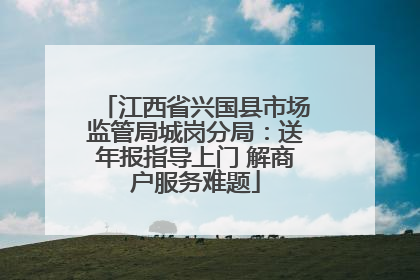 江西省兴国县市场监管局城岗分局：送年报指导上门 解商户服务难题