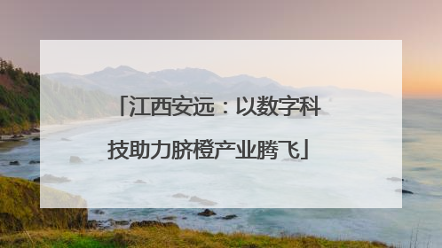 江西安远：以数字科技助力脐橙产业腾飞