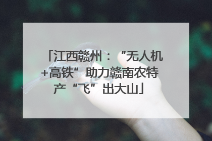 江西赣州：“无人机+高铁”助力赣南农特产“飞”出大山