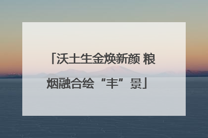 沃土生金焕新颜 粮烟融合绘“丰”景