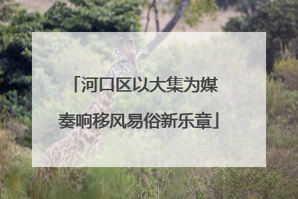 河口区以大集为媒 奏响移风易俗新乐章