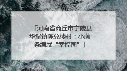 河南省商丘市宁陵县华堡镇陈兑楼村：小藤条编就“幸福图”