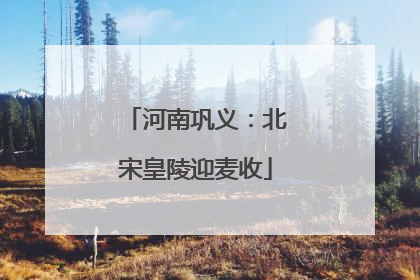 河南巩义：北宋皇陵迎麦收