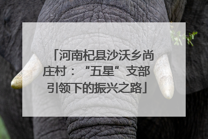 河南杞县沙沃乡尚庄村：“五星”支部引领下的振兴之路