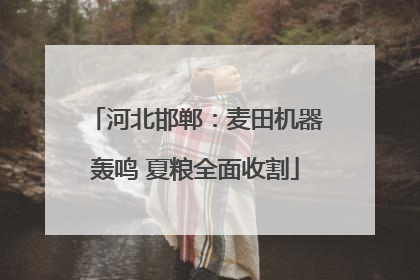 河北邯郸：麦田机器轰鸣 夏粮全面收割