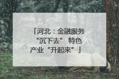 河北：金融服务“沉下去” 特色产业“升起来”