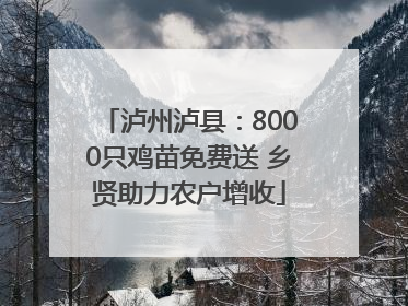 泸州泸县：8000只鸡苗免费送 乡贤助力农户增收