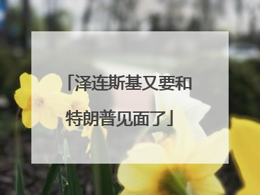 泽连斯基又要和特朗普见面了