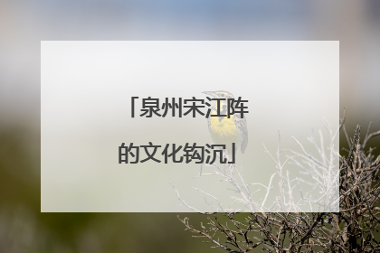 泉州宋江阵的文化钩沉