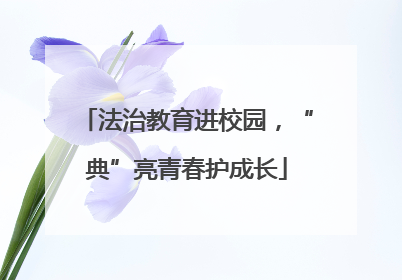 法治教育进校园，“典”亮青春护成长