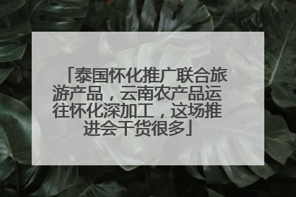泰国怀化推广联合旅游产品，云南农产品运往怀化深加工，这场推进会干货很多