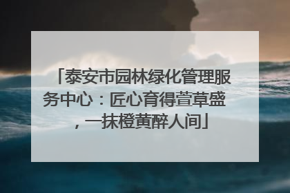 泰安市园林绿化管理服务中心：匠心育得萱草盛，一抹橙黄醉人间