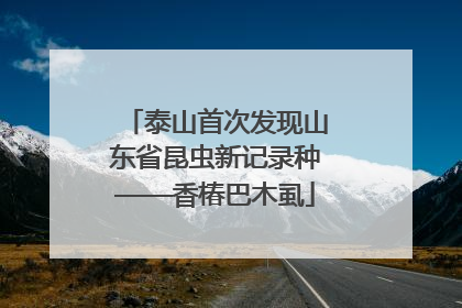 泰山首次发现山东省昆虫新记录种——香椿巴木虱