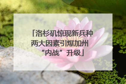 洛杉矶惊现新兵种 两大因素引爆加州“内战”升级