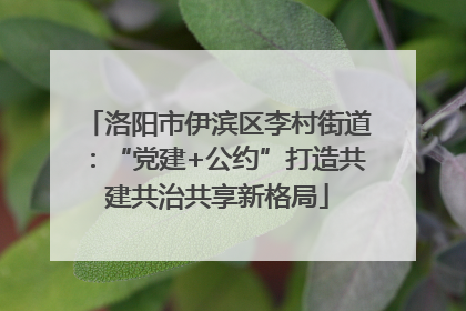 洛阳市伊滨区李村街道：“党建+公约”打造共建共治共享新格局
