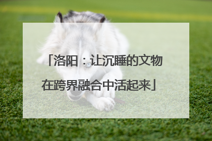 洛阳：让沉睡的文物在跨界融合中活起来