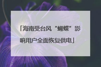 海南受台风“蝴蝶”影响用户全面恢复供电