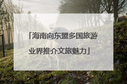 海南向东盟多国旅游业界推介文旅魅力