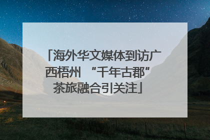 海外华文媒体到访广西梧州 “千年古郡”茶旅融合引关注
