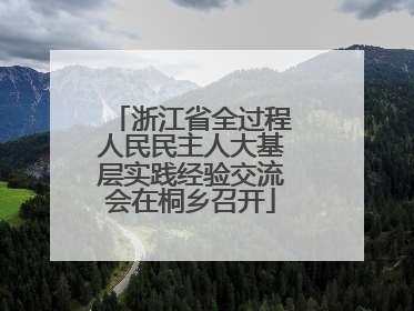 浙江省全过程人民民主人大基层实践经验交流会在桐乡召开