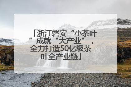 浙江磐安“小茶叶”成就“大产业”，全力打造50亿级茶叶全产业链