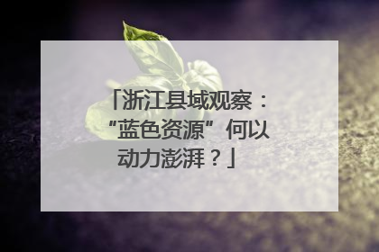 浙江县域观察：“蓝色资源”何以动力澎湃？
