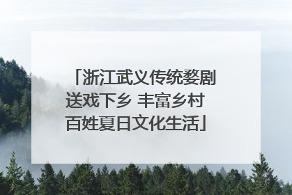 浙江武义传统婺剧送戏下乡 丰富乡村百姓夏日文化生活