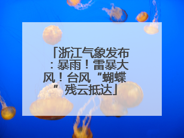 浙江气象发布：暴雨！雷暴大风！台风“蝴蝶”残云抵达