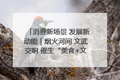 消费新场景 发展新动能｜烟火河间 文武交响 催生“美食+文化”消费新场景