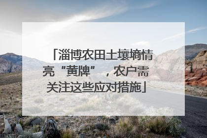 淄博农田土壤墒情亮“黄牌”，农户需关注这些应对措施