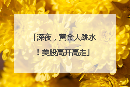 深夜，黄金大跳水！美股高开高走
