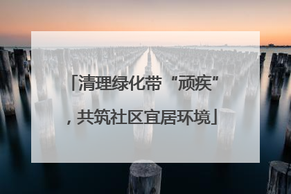 清理绿化带“顽疾”，共筑社区宜居环境