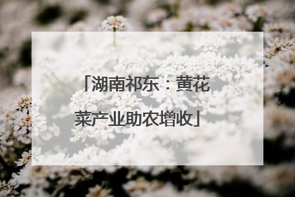 湖南祁东：黄花菜产业助农增收