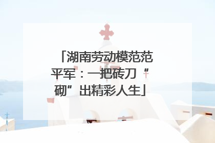 湖南劳动模范范平军：一把砖刀“砌”出精彩人生