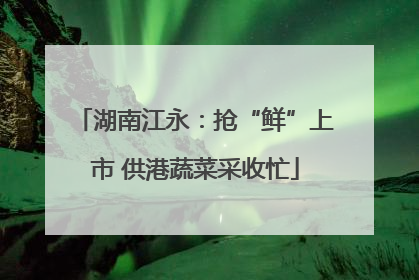 湖南江永：抢“鲜”上市 供港蔬菜采收忙