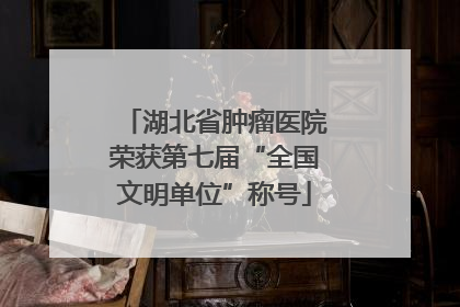 湖北省肿瘤医院荣获第七届“全国文明单位”称号