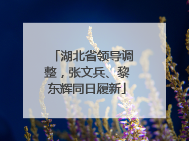 湖北省领导调整，张文兵、黎东辉同日履新